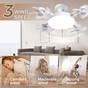Socket Ceiling Fan Light thumbnail 3
