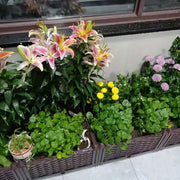 Multifunctional Planting Box – Grow veggies & herbs easily ✨ thumbnail 5
