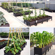 Multifunctional Planting Box – Grow veggies & herbs easily ✨ thumbnail 11
