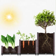 Multifunctional Planting Box – Grow veggies & herbs easily ✨ thumbnail 18