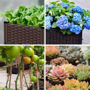 Multifunctional Planting Box – Grow veggies & herbs easily ✨ thumbnail 15