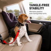 Adjustable Pet Car Seat Belt thumbnail 2