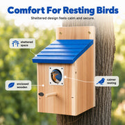 Weatherproof Outdoor Wooden Birdhouse thumbnail 8